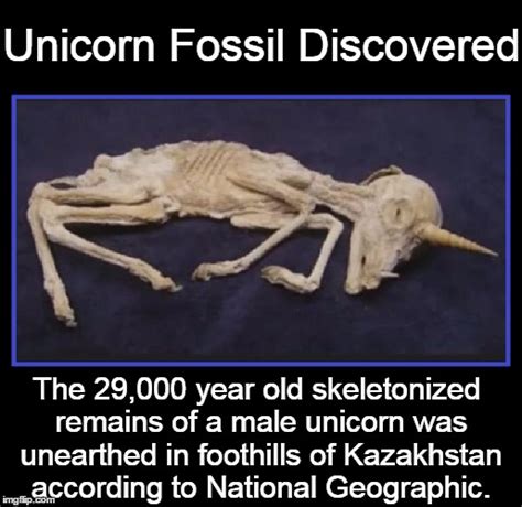 unicorn remains found.